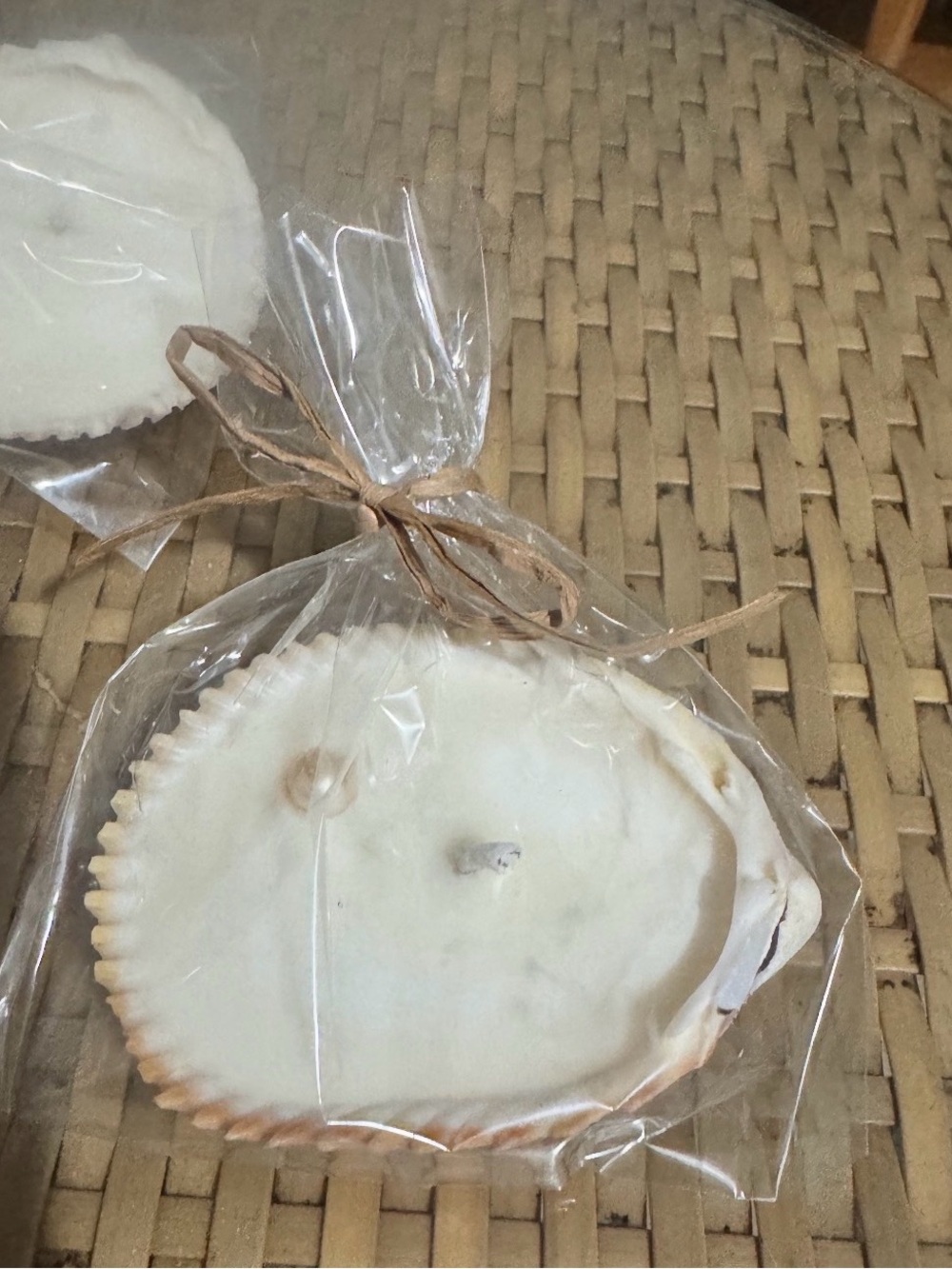 Seashell soy Candle
